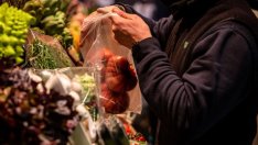 Инфлацията в еврозоната ще е три пъти над целевото равнище на ЕЦБ тази година