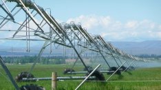 България не подкрепи предложението за нови геномни техники