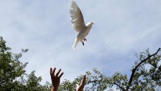 Краят на мирния дивидент след Студената война