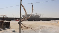 Катар увеличи минималната заплата до… 230 евро на месец