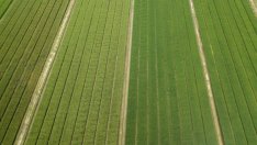 458 млн. евро по ПРСР ще се насочат към млади и малки стопани