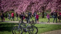 В България по-малко от двама души ще издържат един възрастен към 2100 г.