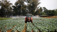 Евгени Савчев: Променяме земеделски проекти за стратегически партньорства