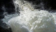 Финландия не харесва проекта за зелена таксономия на ЕС