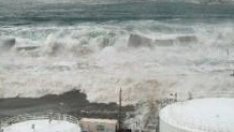 Япония ще реформира организацията за контрол над ядрената енергетика