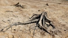 Югоизточна Азия се сблъсква с исторически горещини и силно замърсяване на въздуха