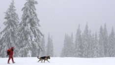 Завихри се спор около стопанисването на лифтовете на Витоша
