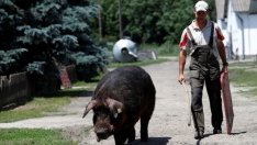 По-лесно ще се регистрират личните стопанства тип „заден двор“