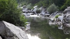 Австрийската EVN замразява работата по каскадата "Горна Арда"