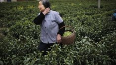 Китайските семейства стават все по-малки и все по-стари