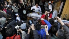 Риба от вида червен тон бе продадена за 750 хил. долара  