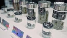 Германия е стъпка по-близо до легализирането на канабиса