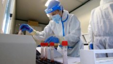 Какво знаем за новата мутация на коронавируса?