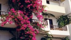 Гръцки медии: „Чуждестранни ястреби“ дебнат пазара на имоти в Гърция