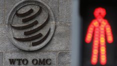 Никой не е готов да умре за международния ред, основан на правила