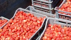 Мобилни консултанти ще разясняват агроекологията в планинските ферми