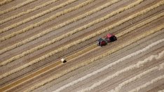 Източна и Западна Европа в сблъсък за ограниченията на земеделските субсидии