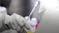 САЩ се опитват да привлекат германска компания, правеща ваксина за Covid-19