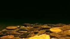 Щастието струва £50 хил. за британците