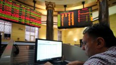 Зелена вълна на малкото отворени борси в Азия