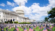 А може би политическият климат не е толкова важен за икономиката