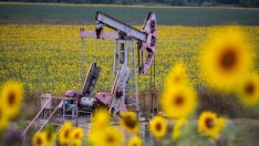 Притеснена от слабото търсене, ОПЕК+ обеща да действа при нужда