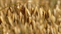 ЕК възстанови на България 540 млн. лева за земеделски субсидии