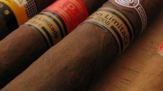 Най-големият фестивал на пури в света приключва с добри новини