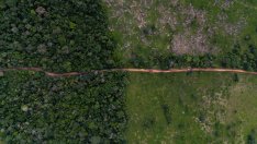 Природата има нужда от пари