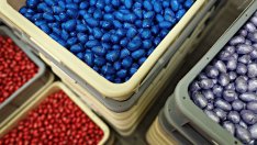 Nestle повиши прогнозата за продажбите си за годината след силен ръст за деветмесечието