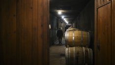 Pernod Ricard продава част от марките си вино