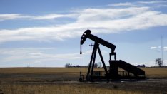 Подгответе се за ниски цени на петрола