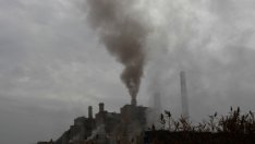 EESC: ЕС трябва да отдели 40% от бюджета си за ограничаване на въглеродните емисии