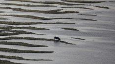 Изкуствен интелект ще прогнозира водните конфликти по света