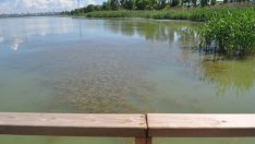 С евросредства ще бъде почистен каналът, който свързва езерото Вая с Черно море