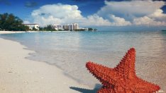 Фестивалът за "богати деца", който се провали с гръм и трясък