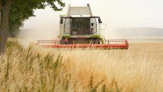 Тежка година за земеделието у нас, в сектора очакват загуби