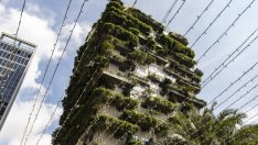 Country Garden направи плащания по дълга и донесе успокоение на китайския имотен сектор