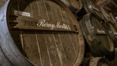 Кризата ще навреди силно на Remy Cointreau през първото полугодие