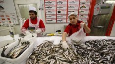 Производител: Време е да поставим фокус върху качествата на черноморската риба