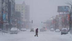 Изменението на климата бавно убива сградите