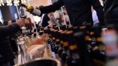 Над 150 хил. тона грозде от новата реколта ще отиде за винопроизводство