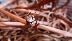 ЕБВР предоставя кредит от 25 млн. евро за "София мед"