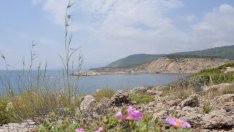 Турският консорциум се оттегли от проекта за АЕЦ „Аккую“