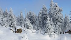 Община Смолян обяви бедствено положение*