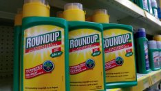 Пореден съдебен удар срещу Monsanto и Bayer 