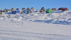 Защо Гренландия има толкова голямо значение за САЩ?
