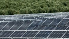 Канете: ЕС трябва да е лидер в новите условия за енергетиката по света