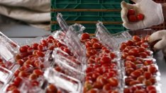 Как ще усвоява евросредства агробизнесът през 2014 г.?