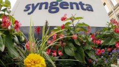 ChemChina с оферта за 43 млрд. долара за придобиването на швейцарската Syngenta